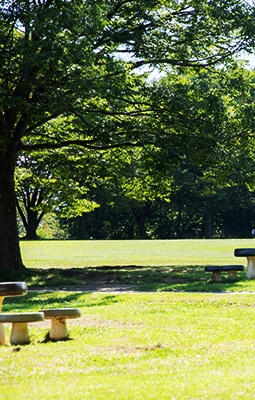 公園
