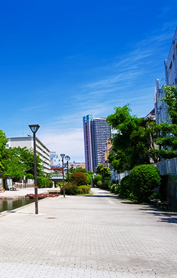 展示会